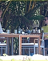lea-michele-cory-monteith-vacation-in-mexico-16.jpg